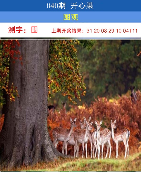040期开心果[图]