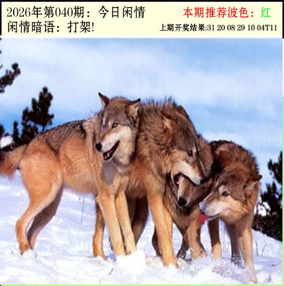 040期今日闲情2[图]