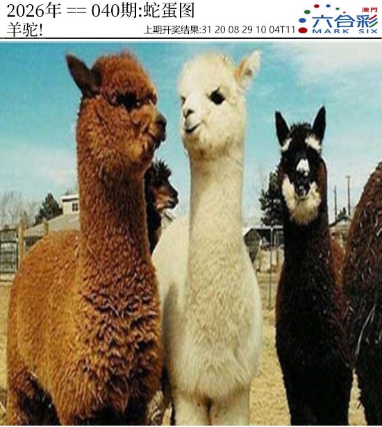 040期正版蛇蛋图[图]