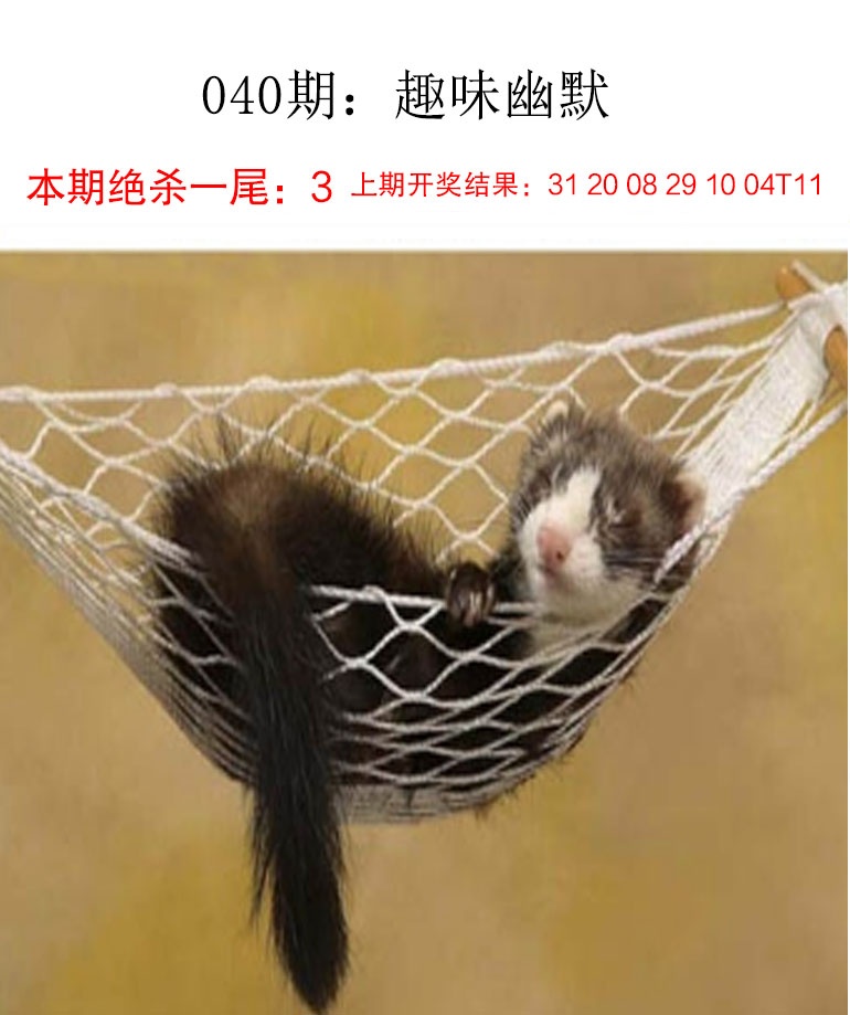 040期趣味幽默[图]