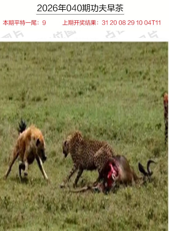 040期功夫早茶[图]