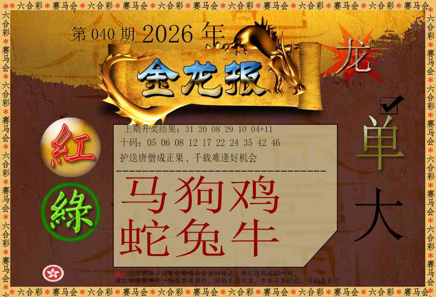 040期金龙报[图]