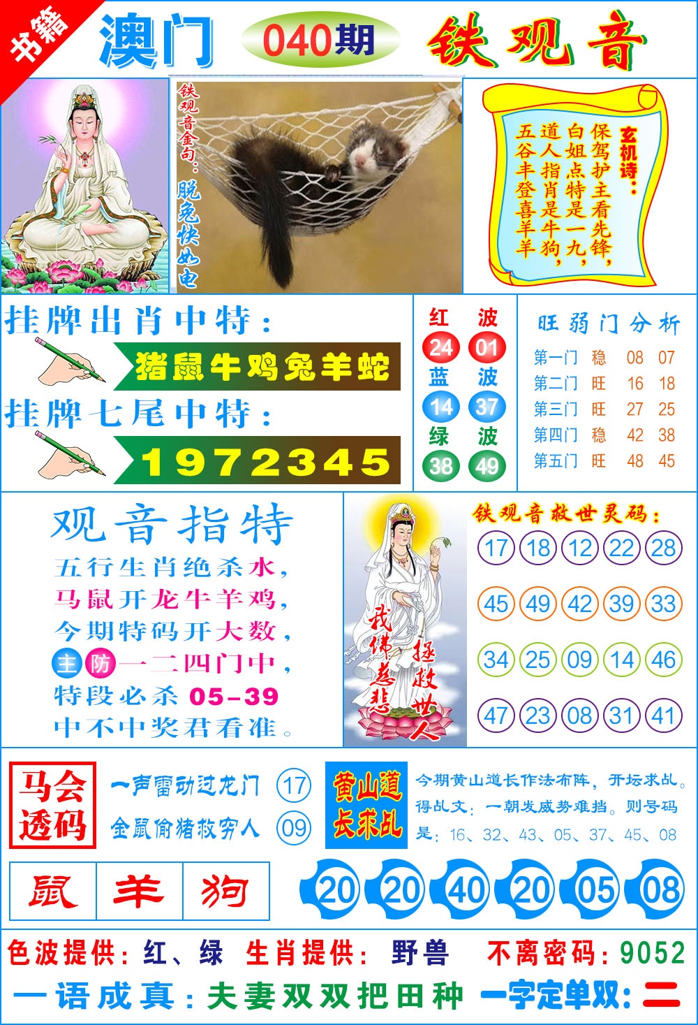 040期澳门铁观音[图]