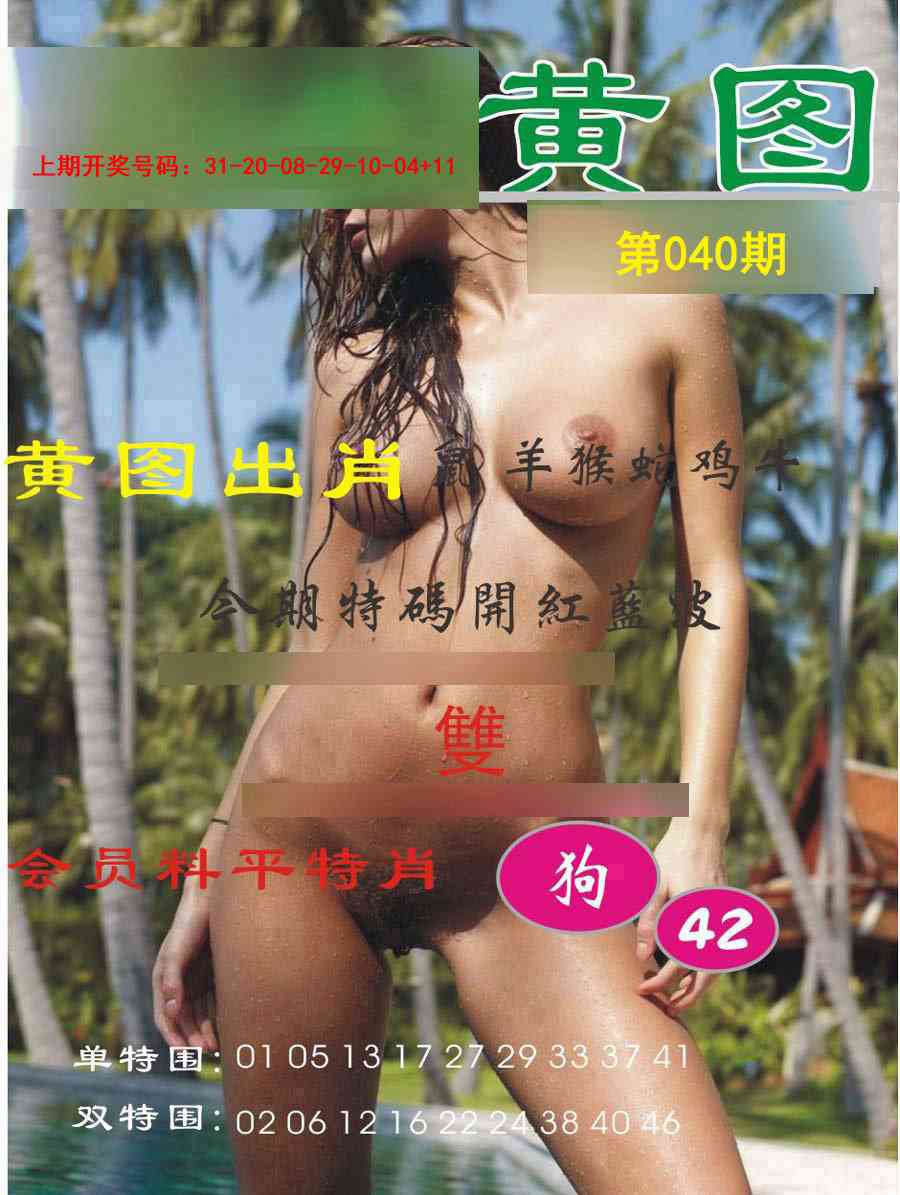 040期黄图[图]