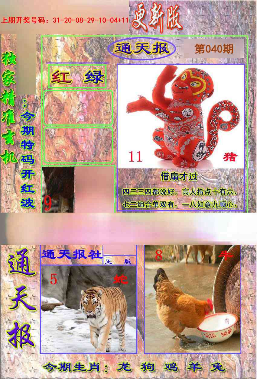 040期新通报[图]