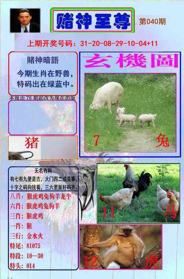 040期赌神至尊[图]