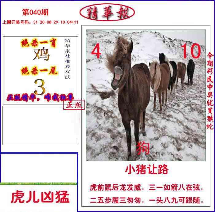 040期新精华报报[图]
