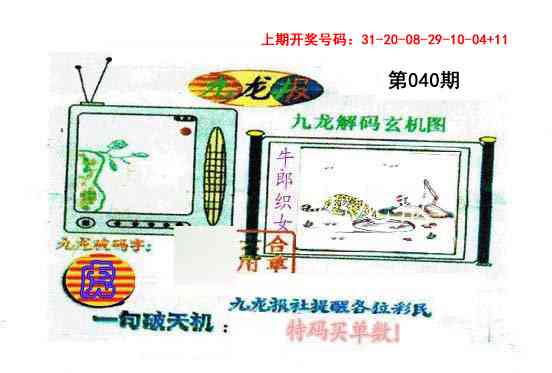 040期九龙报[图]