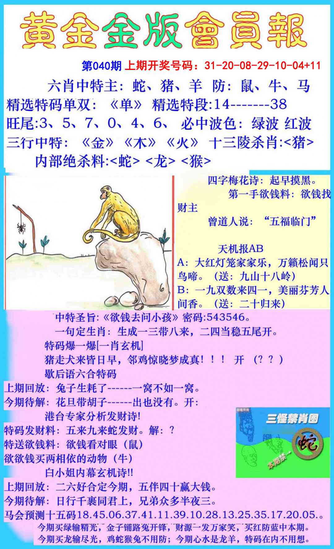 040期黄金金版会员报[图]
