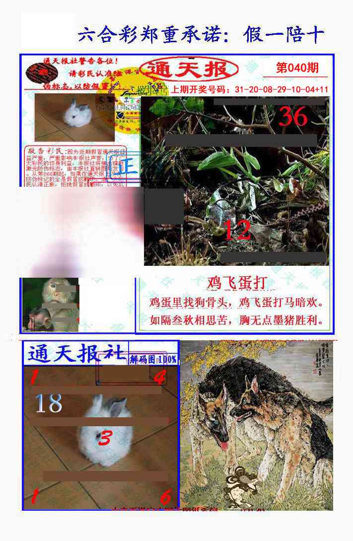 040期假一陪十通天报[图]