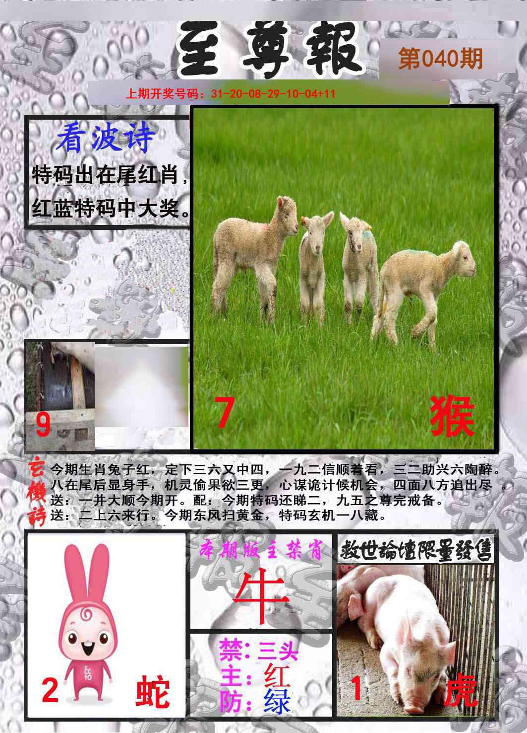 040期至尊报[图]