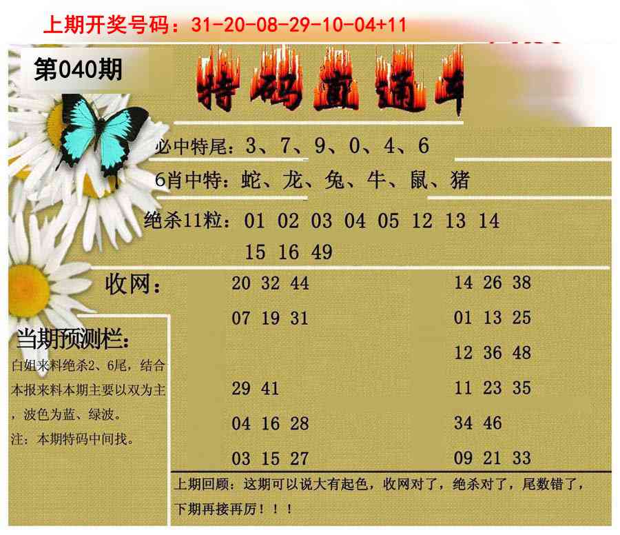 040期特码直通车[图]