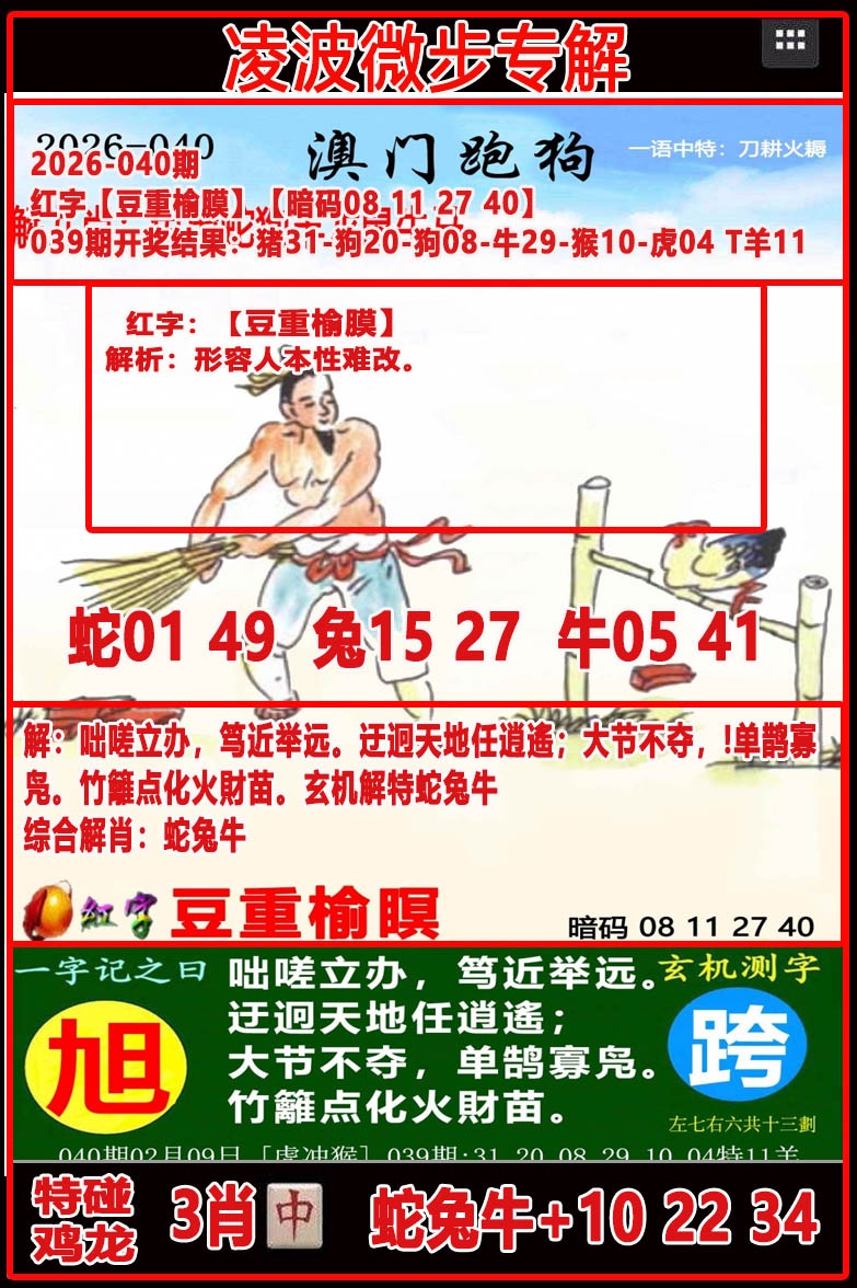 040期凌波微步[图]