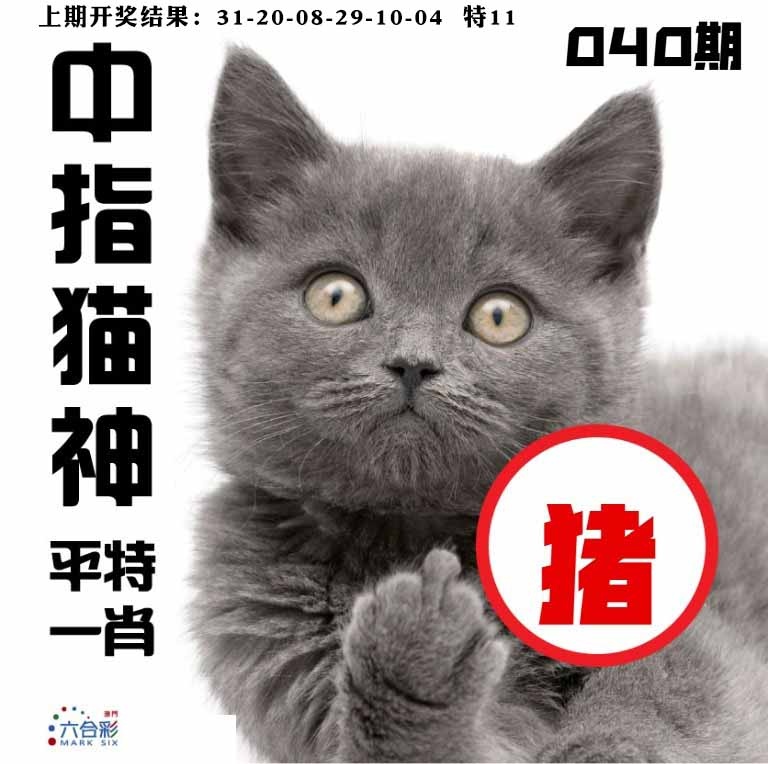 040期中指猫神[图]