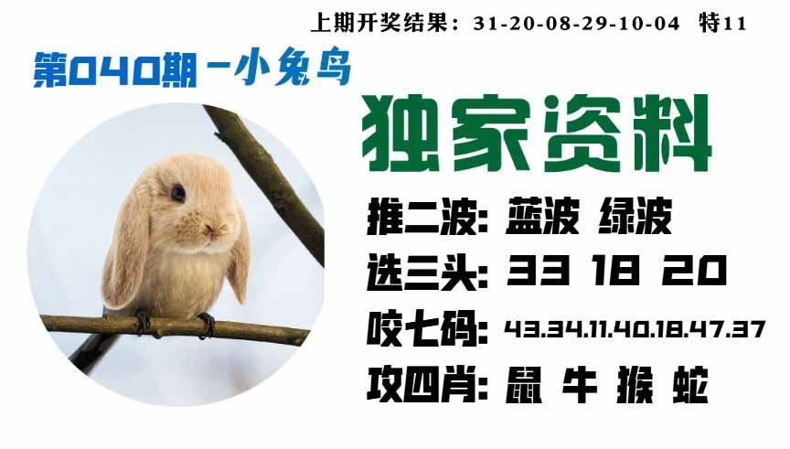 040期小兔鸟[图]